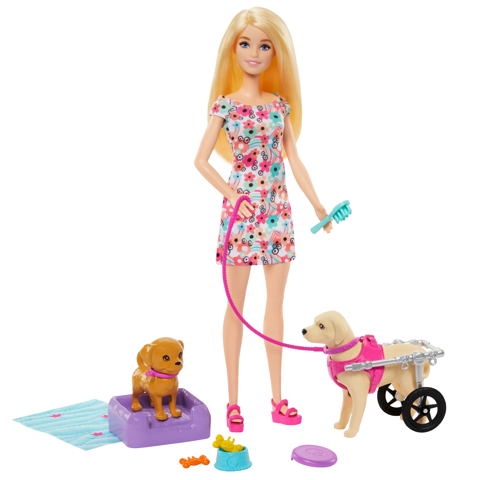 Κούκλα Barbie Με Κουταβάκι Και Σκυλάκι Σε Αναπηρικό Αμαξίδιο, Αξεσουάρ Για Κατοικίδια