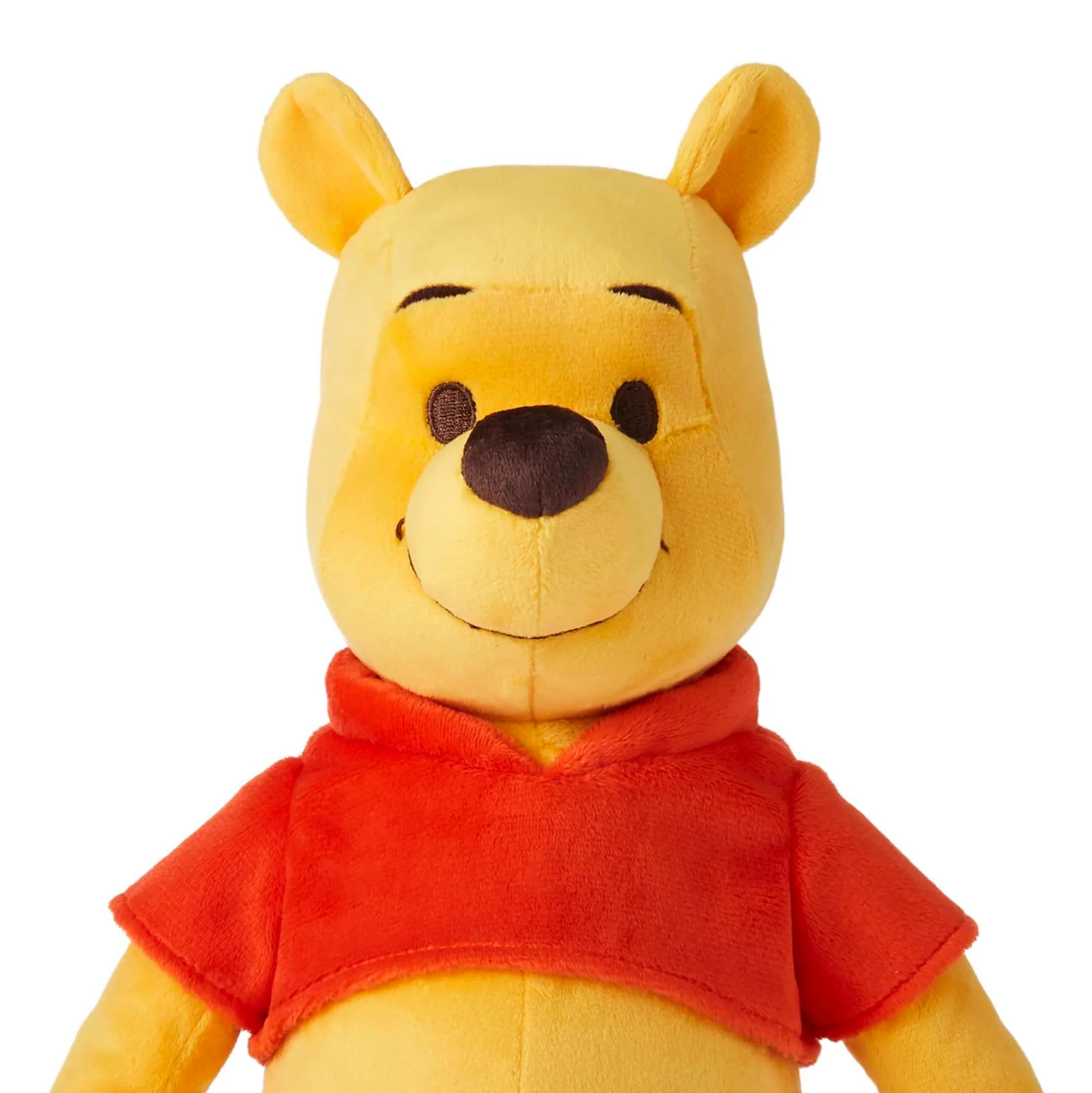 Disney Winnie the Pooh Your Friend Pooh Feature Plush - Image 3