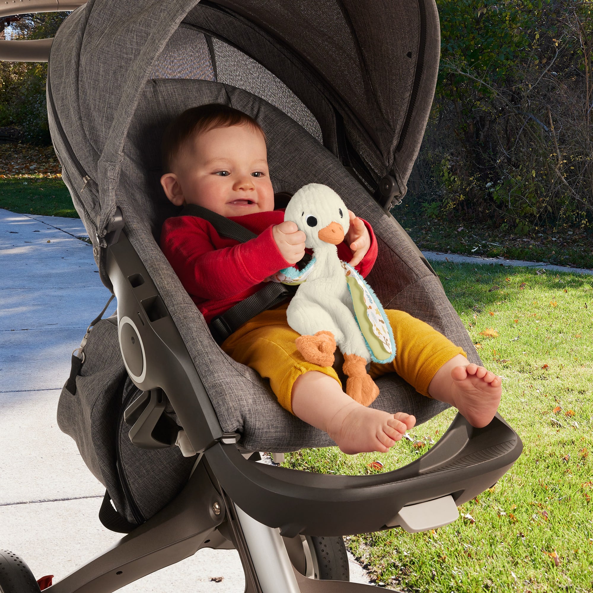 Fisher Price Knuffelgans Zintuiglijk Speelgoed Voor Baby'S, Knuffel Met Geluid Voor Baby'S - Image 4