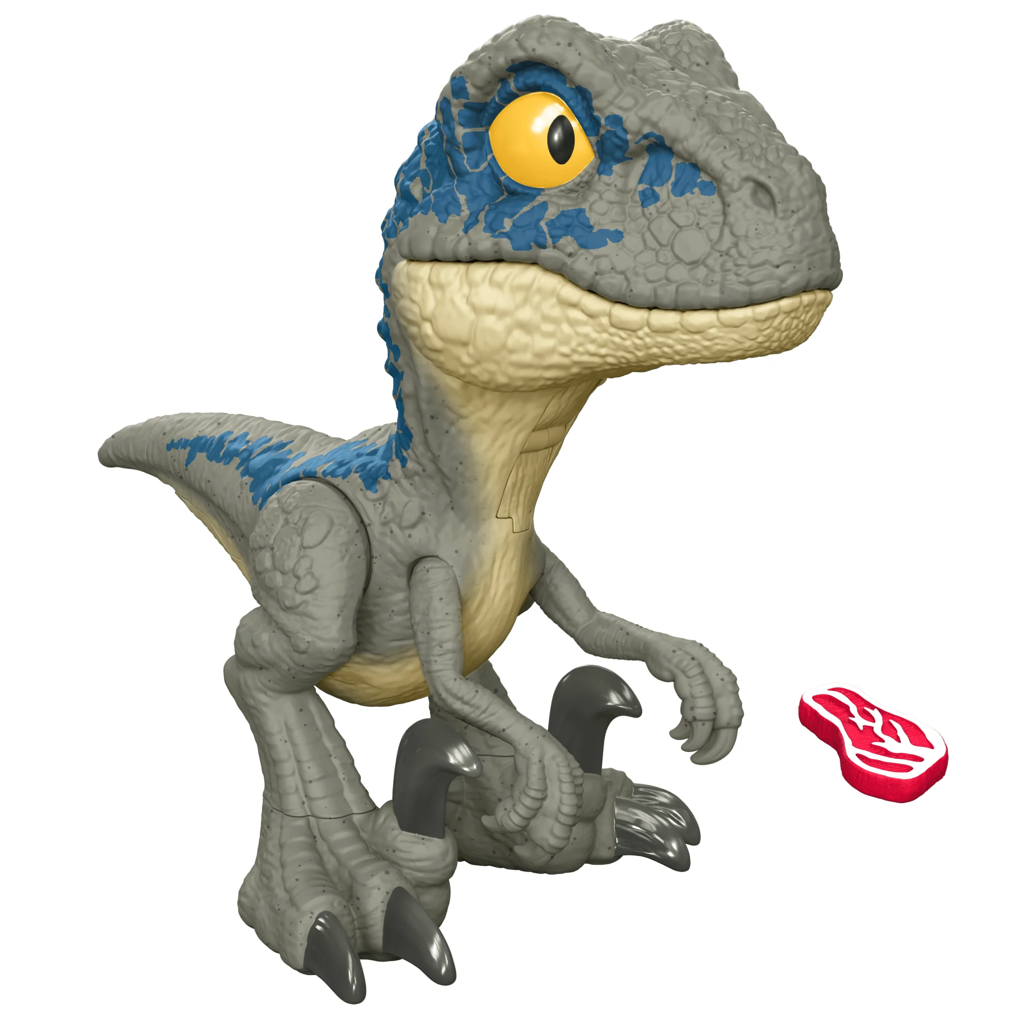 Jurassic World-Vélociraptor Blue Méga Rugissement-Son, Grande Mâchoire - Image 4