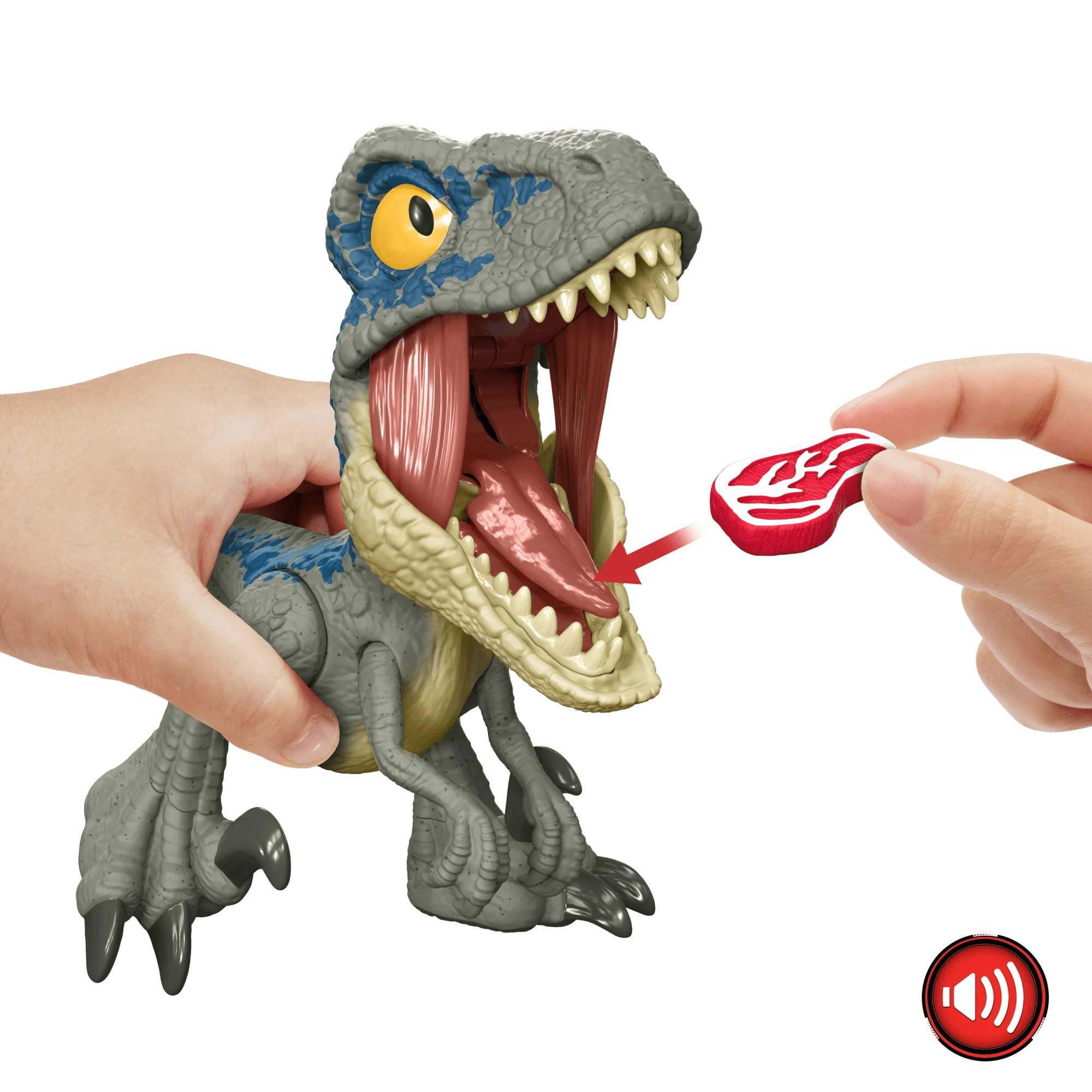 Jurassic World-Vélociraptor Blue Méga Rugissement-Son, Grande Mâchoire - Image 5