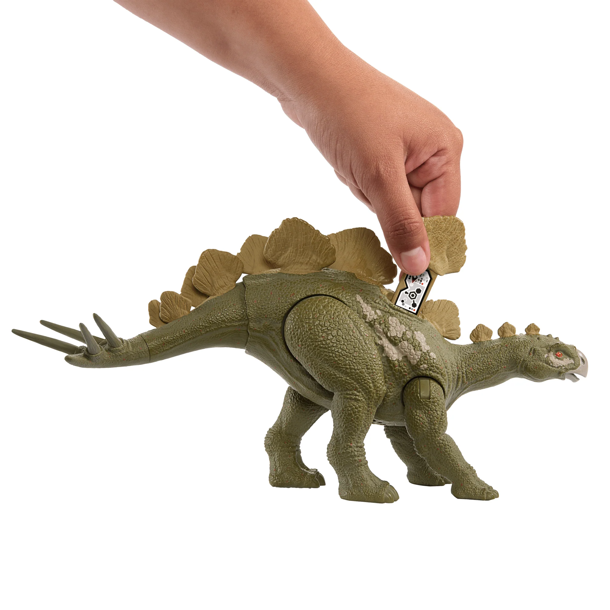 Jurassic World Wild Roar Dinosaur, Hesperosaurus Action Figure Toy With Sound - Image 4