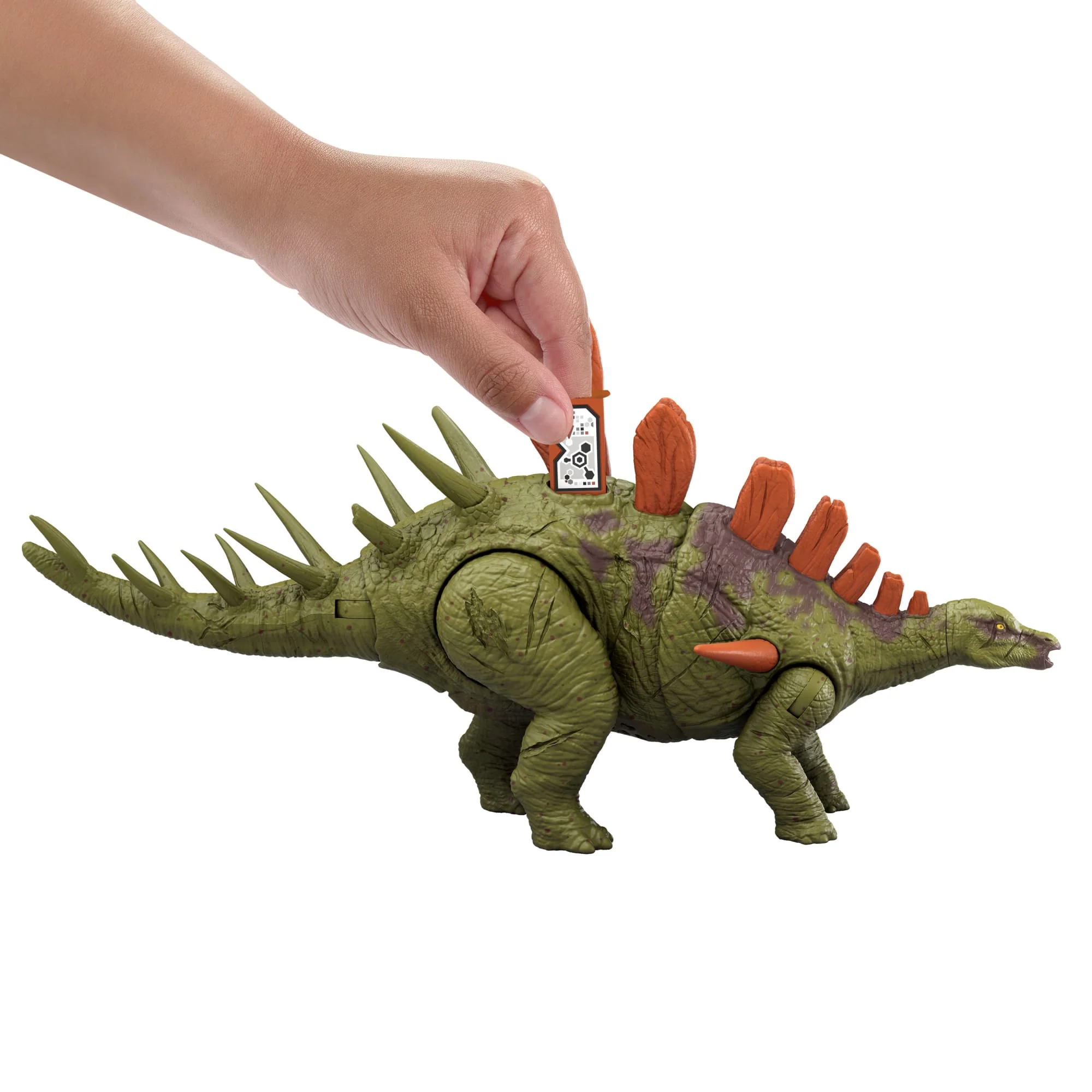 Jurassic World Dinosaurier-Spielzeug Mit Brüllgeräuschen Und Angriffsbewegung, Wild Roar-Figuren - Image 3