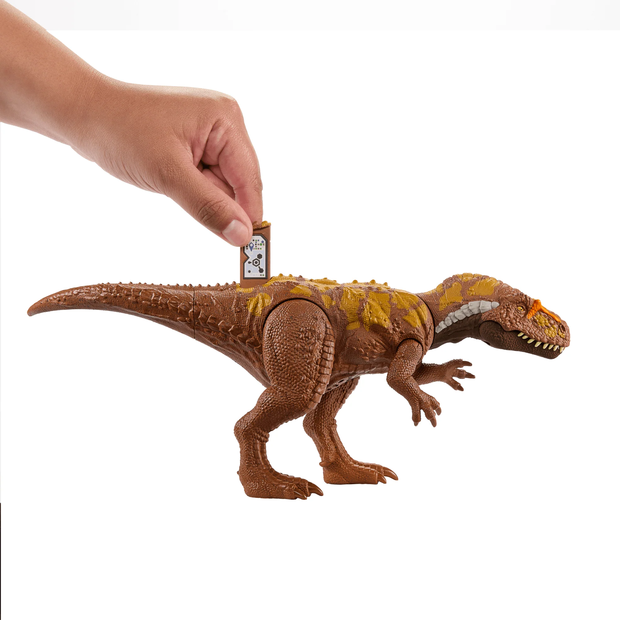 Jurassic World Wild Roar Dinosaur, MEGAlosaurus Action Figure Toy With Sound - Image 5
