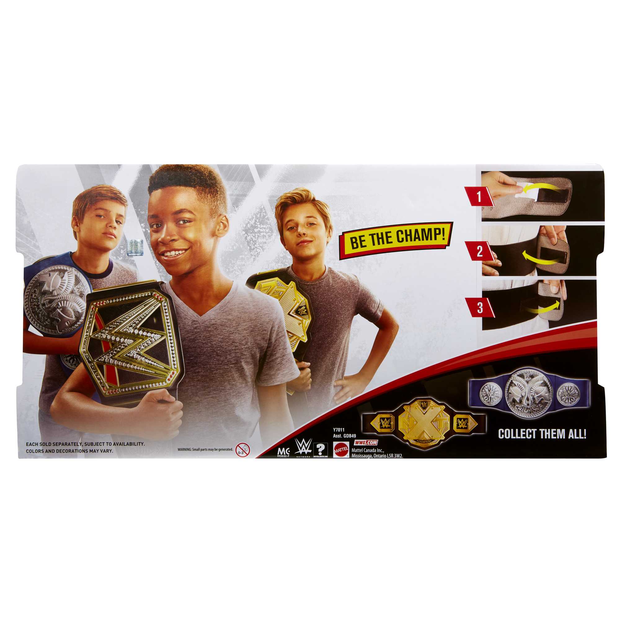 WWE Championship - Image 6